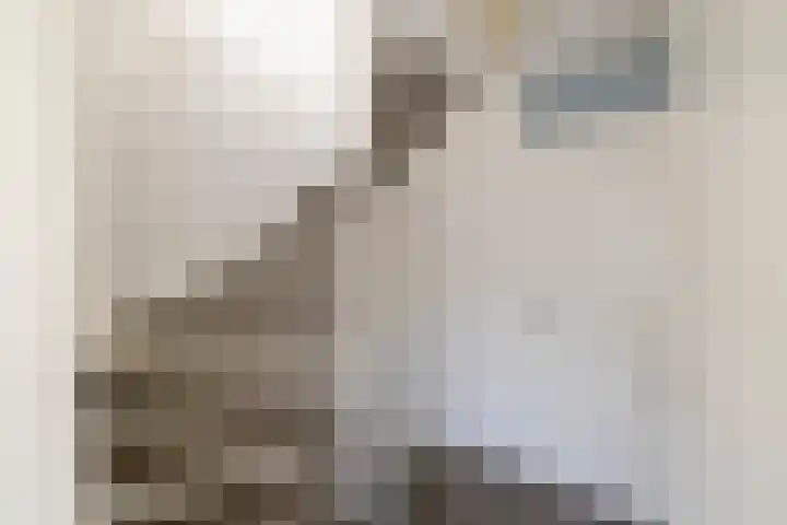 Drakensteynstraat 22 Haarlem thumbnail 35