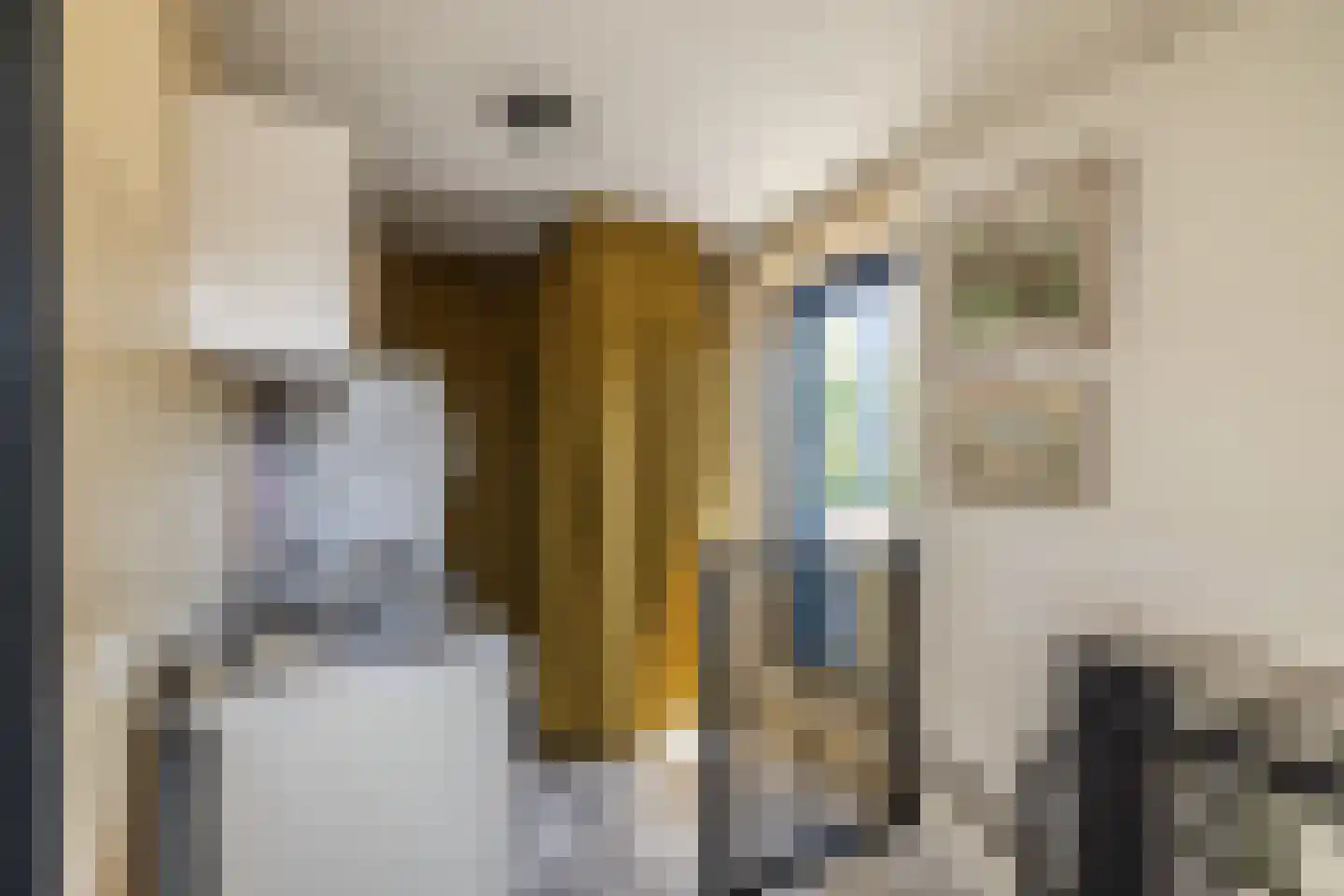 Drakensteynstraat 28 Haarlem thumbnail 24
