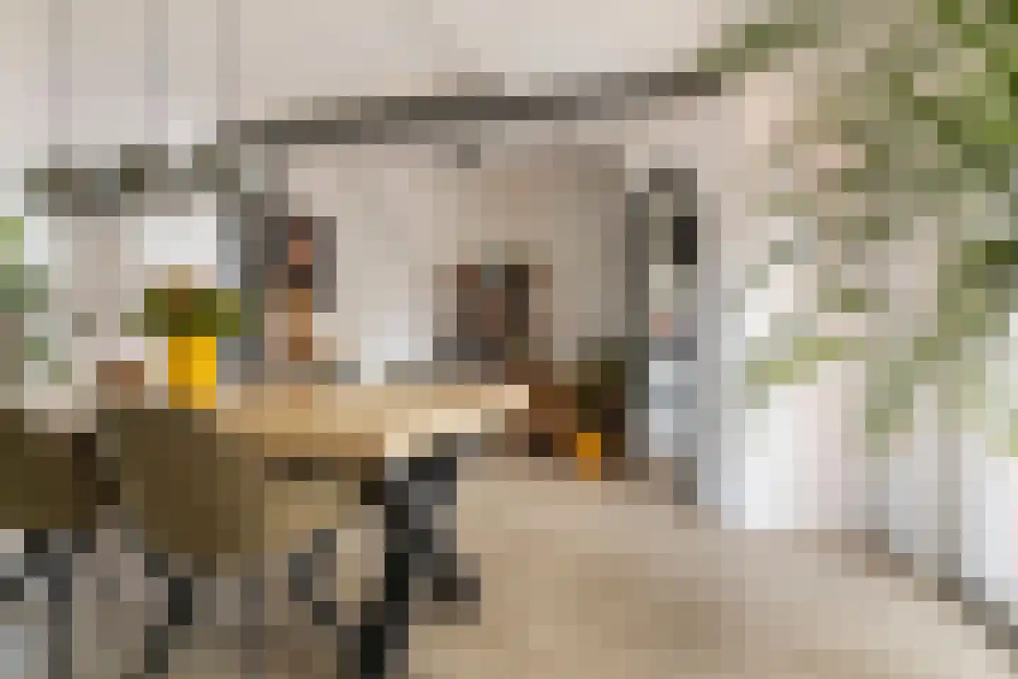 Drakesteijnstraat 13 Groningen thumbnail 11