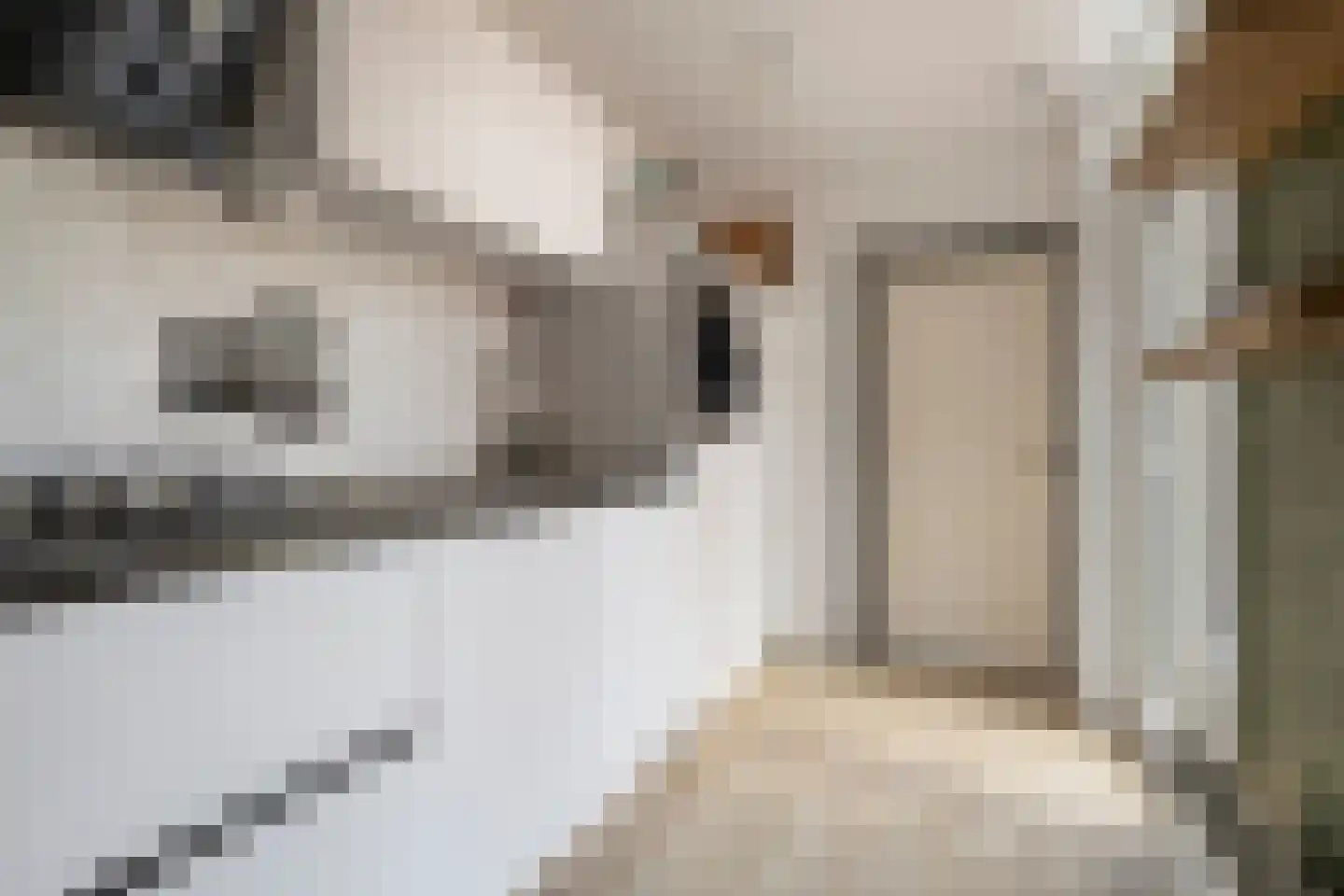 Drakesteijnstraat 13 Groningen thumbnail 14