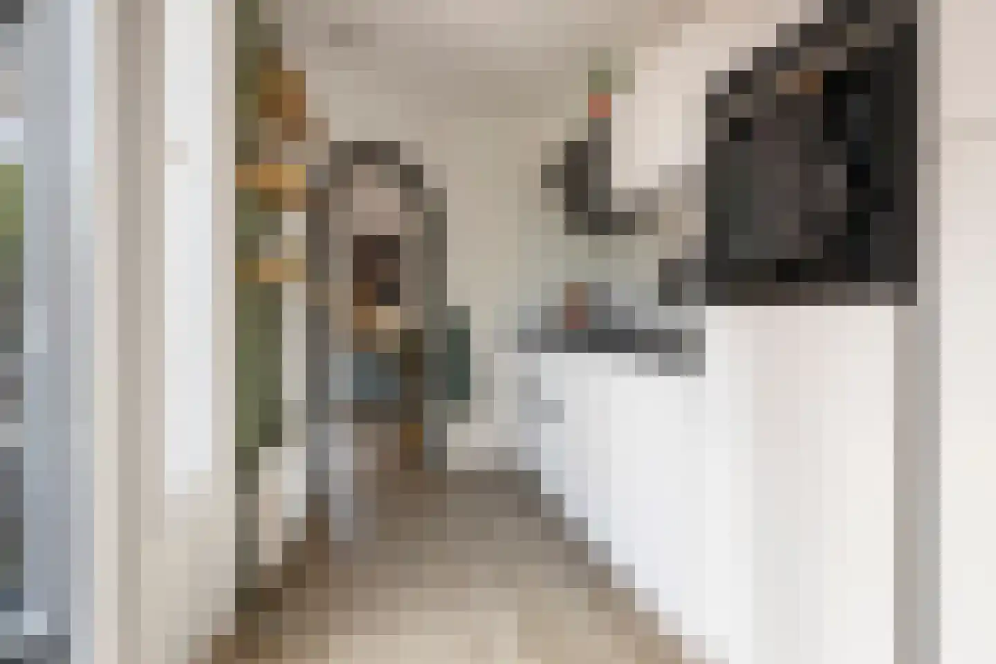 Drakesteijnstraat 13 Groningen thumbnail 15