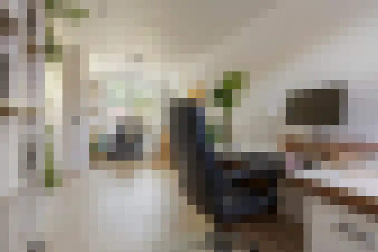 Drakesteijnstraat 13 Groningen thumbnail 21