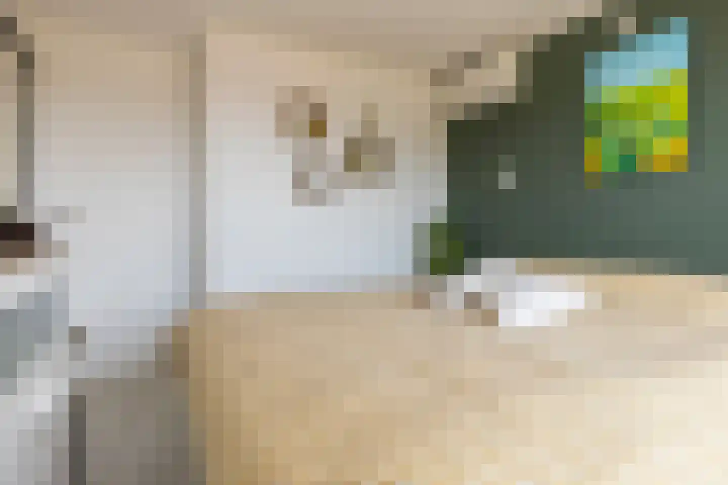 Drakesteijnstraat 13 Groningen thumbnail 24