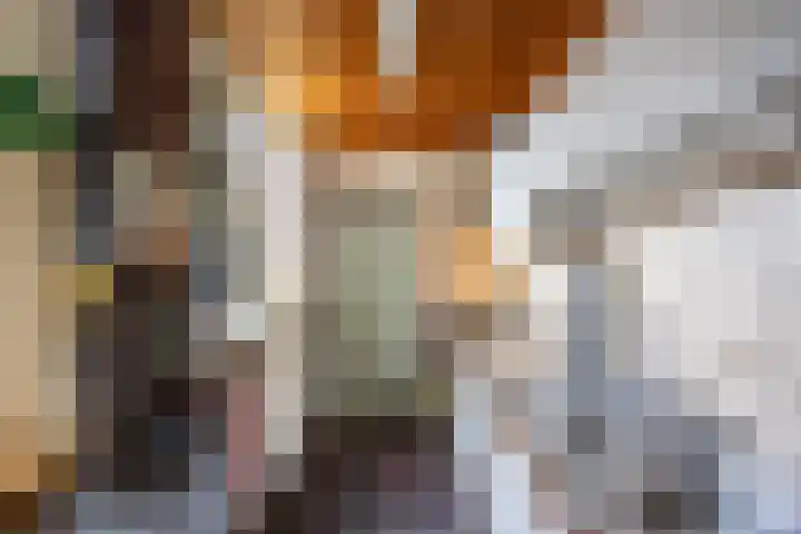 Drakesteijnstraat 14 Groningen thumbnail 15