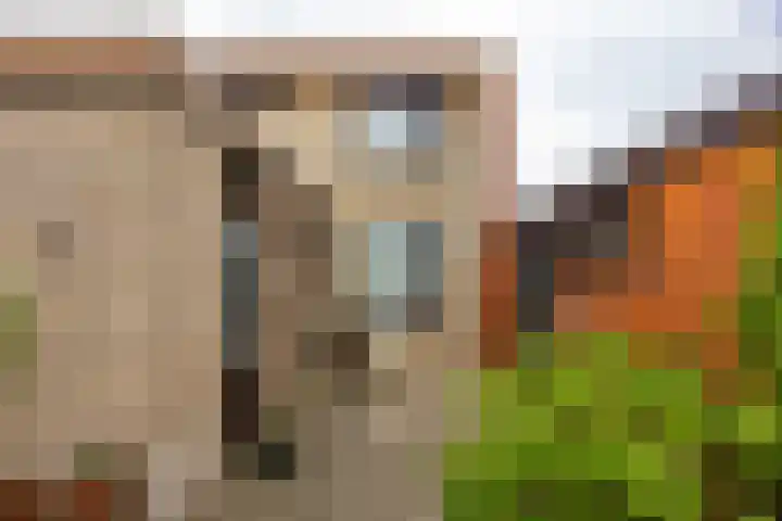 Drakesteijnstraat 14 Groningen thumbnail 27