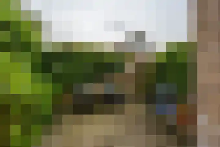 Drakesteijnstraat 14 Groningen thumbnail 29