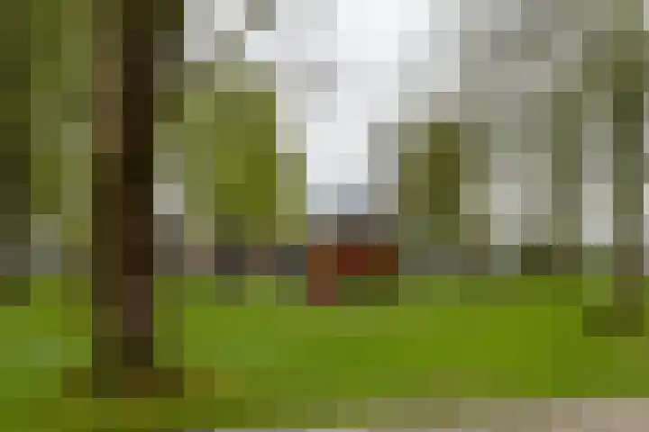 Drakesteijnstraat 14 Groningen thumbnail 34
