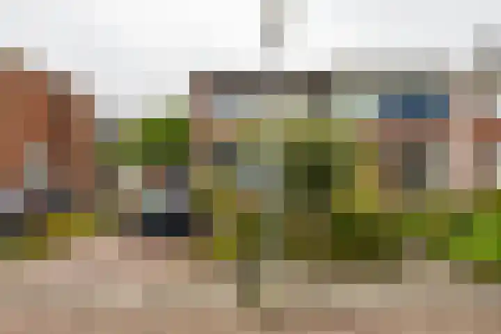 Drakesteijnstraat 14 Groningen thumbnail 6