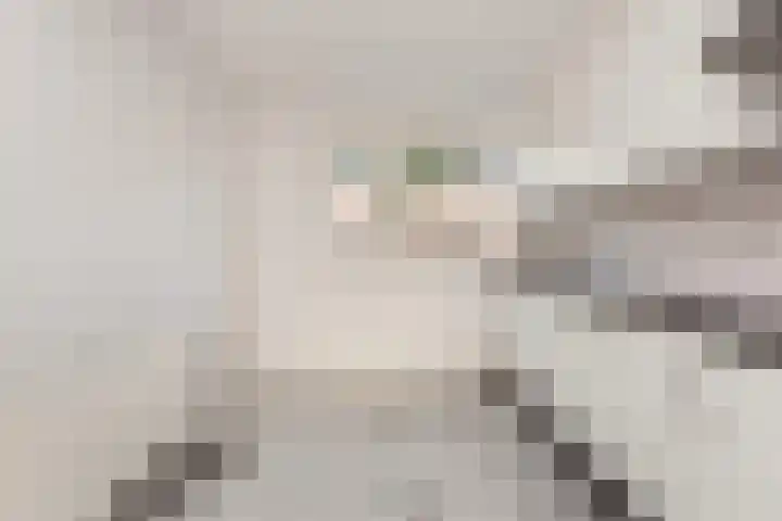 Drakestein 5 Amersfoort thumbnail 13