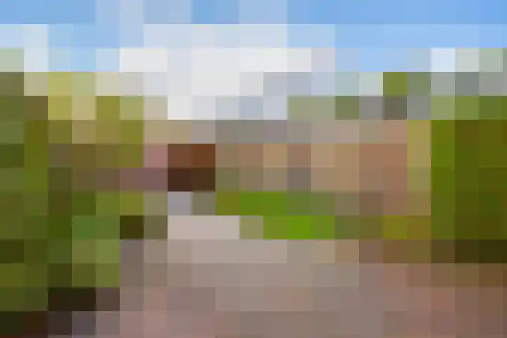 Drakestein 5 Amersfoort thumbnail 17