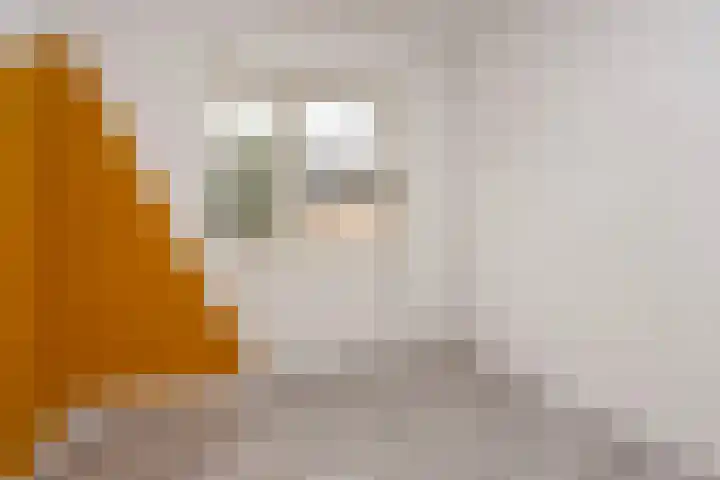 Drakestein 5 Amersfoort thumbnail 25