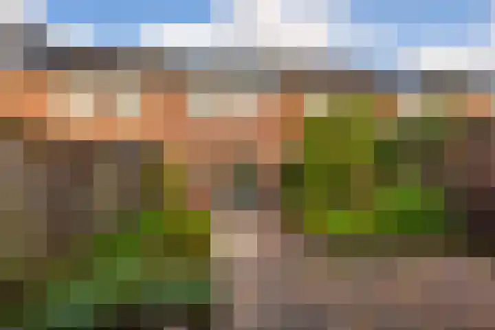 Drakestein 5 Amersfoort thumbnail 4