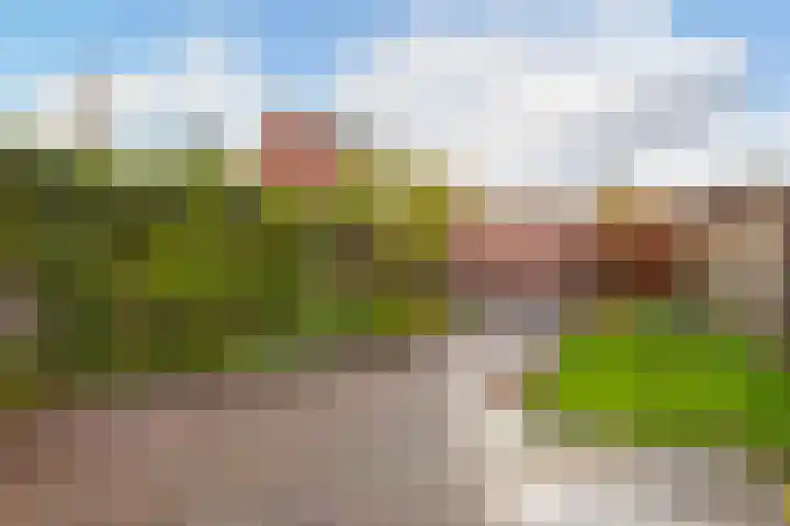 Drakestein 5 Amersfoort thumbnail 5
