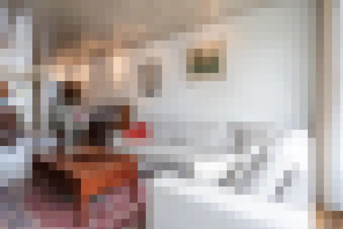 Drakesteinstraat 3 Breda thumbnail 10