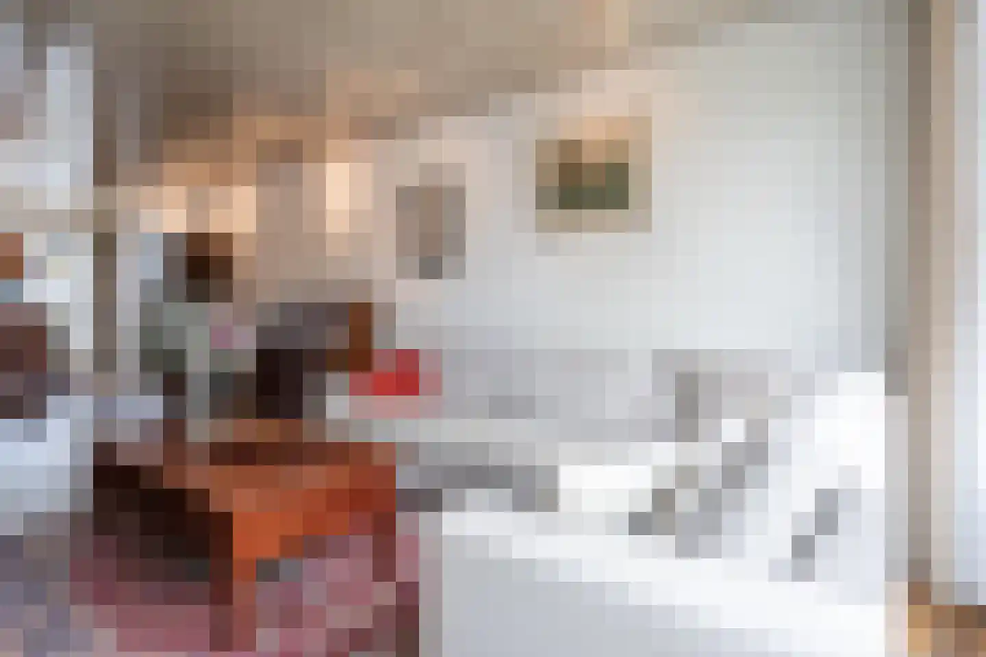 Drakesteinstraat 3 Breda thumbnail 11