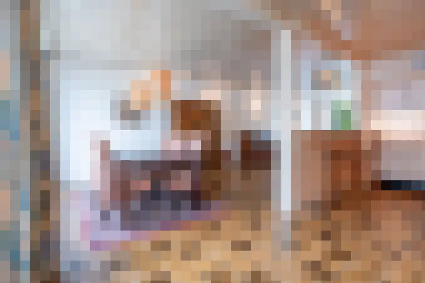 Drakesteinstraat 3 Breda thumbnail 13