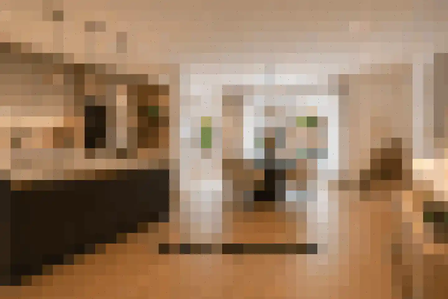 Drakesteinstraat 3 Breda thumbnail 16