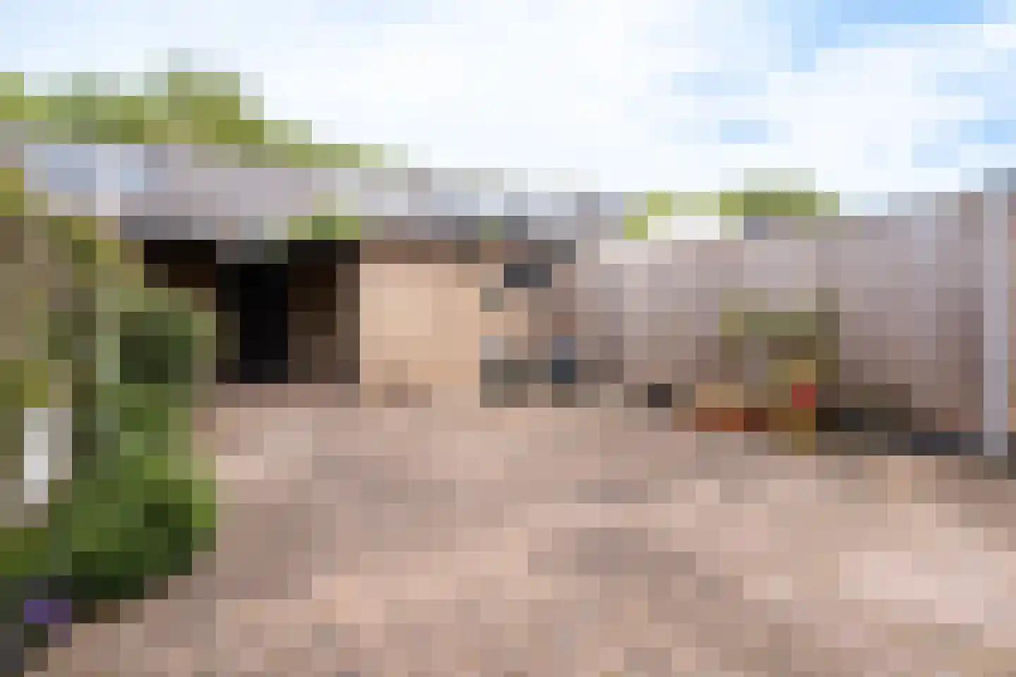 Drakesteinstraat 3 Breda thumbnail 17