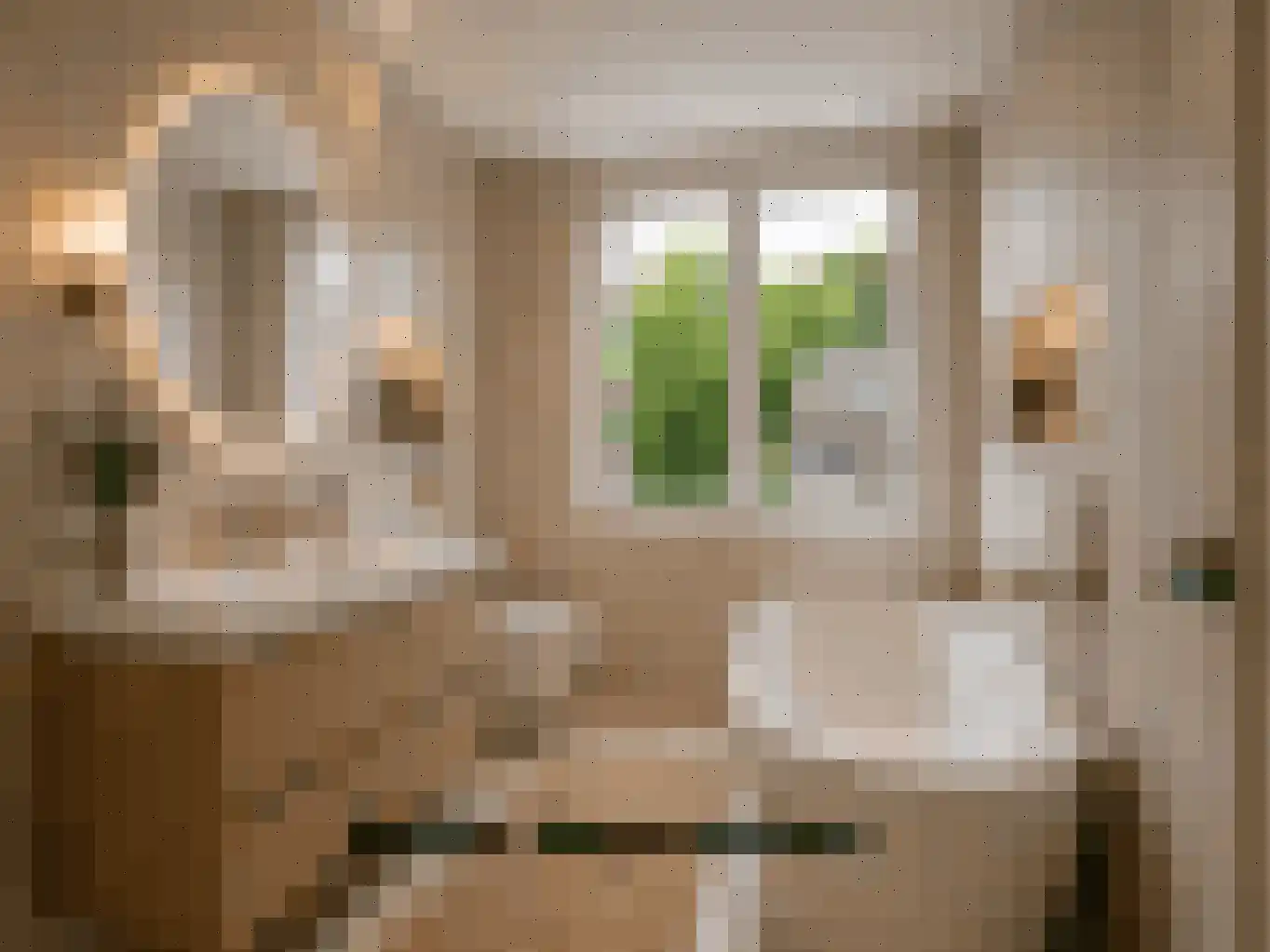 Drakesteinstraat 3 Breda thumbnail 29