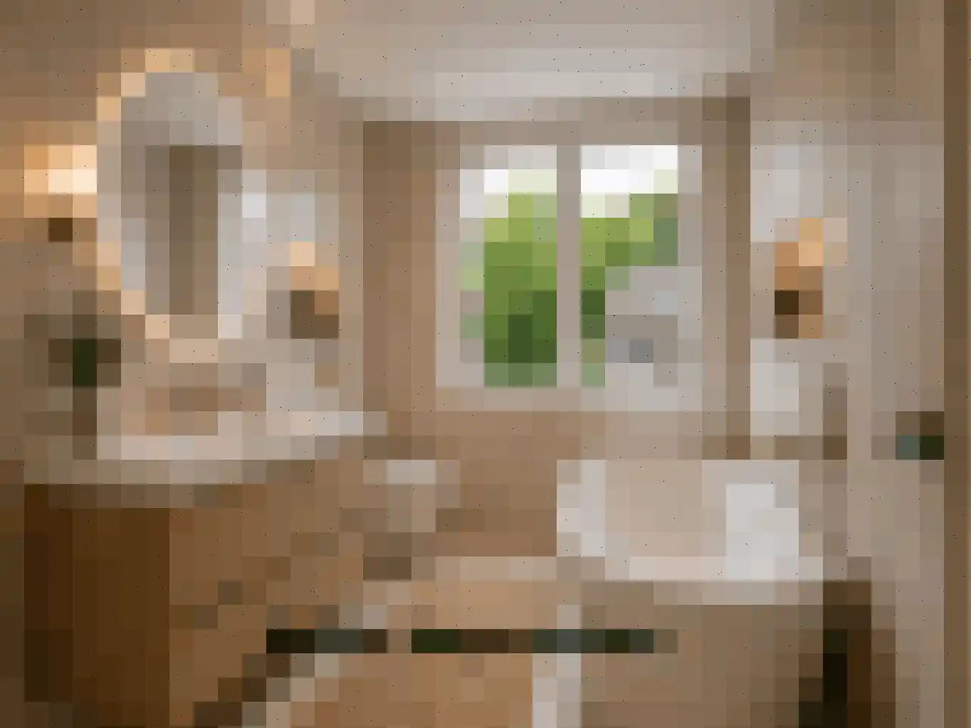 Drakesteinstraat 3 Breda thumbnail 29