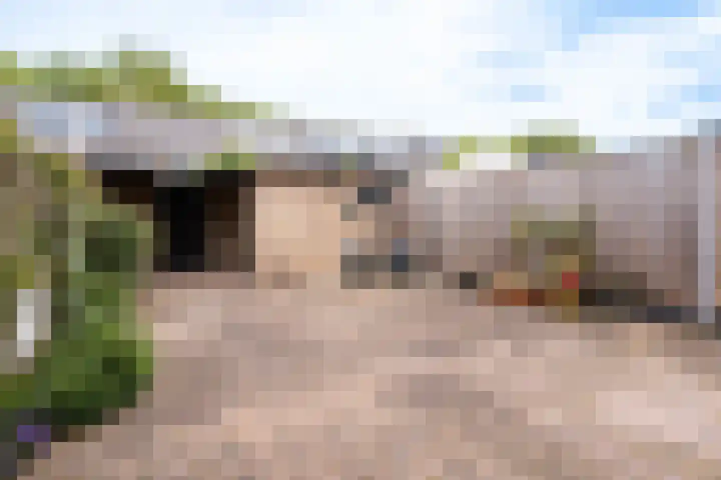 Drakesteinstraat 3 Breda thumbnail 4