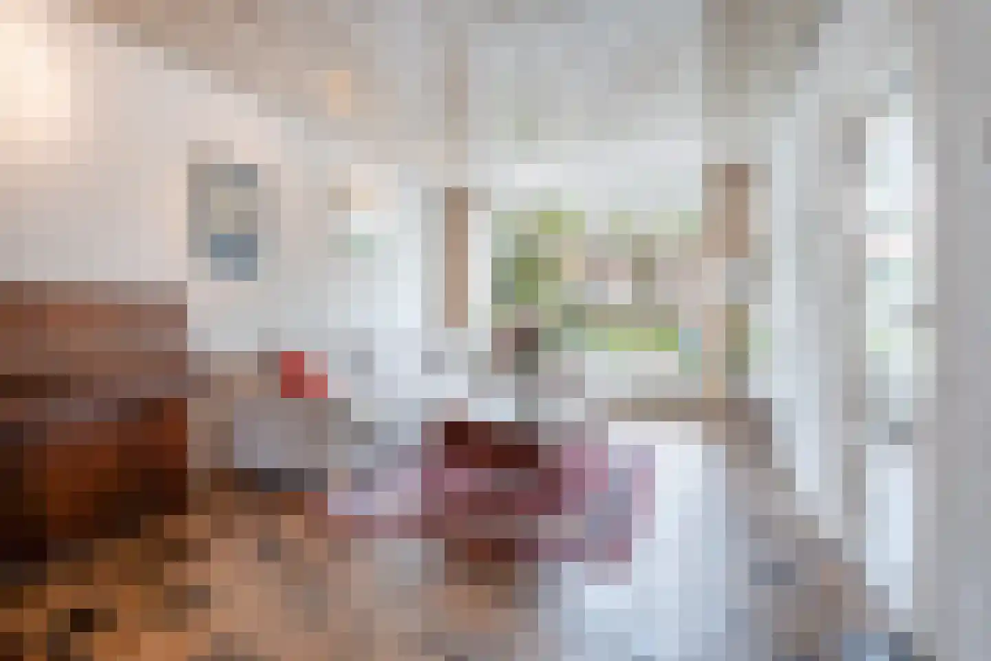 Drakesteinstraat 3 Breda thumbnail 9