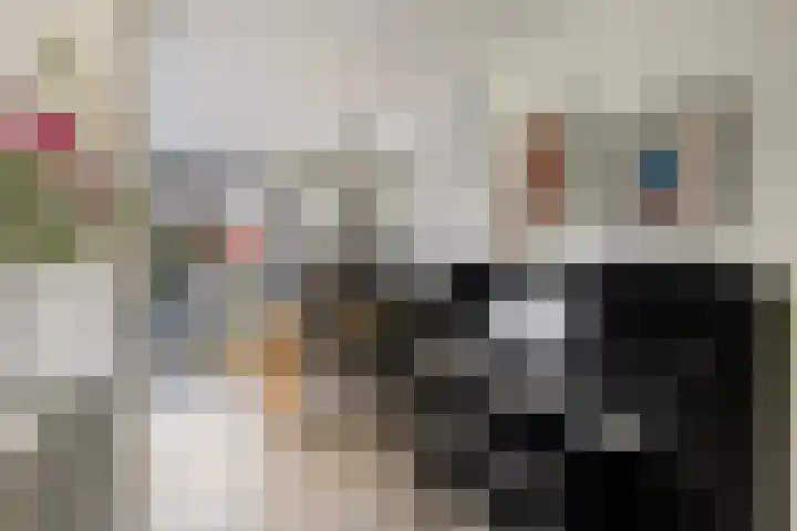 Drapenierlaan 24 Zwolle thumbnail 10
