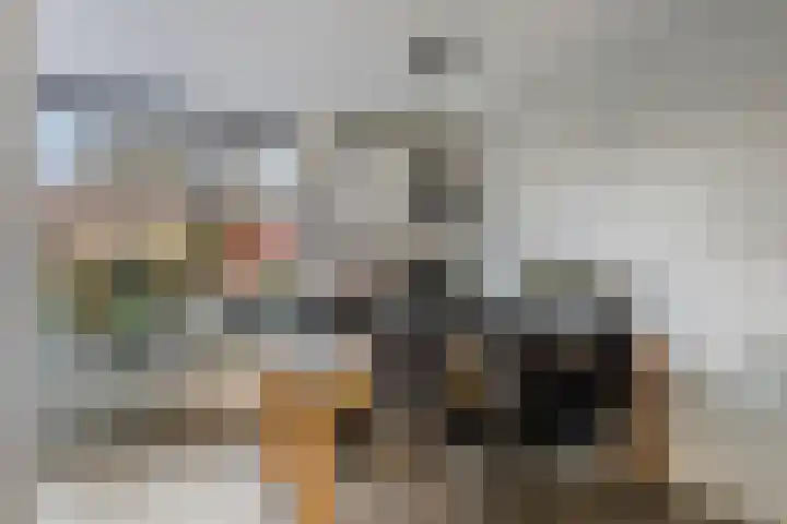 Drapenierlaan 24 Zwolle thumbnail 11