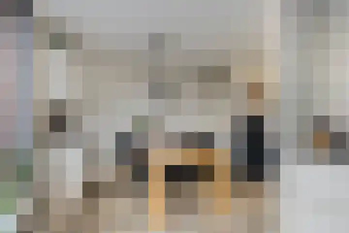 Drapenierlaan 24 Zwolle thumbnail 12
