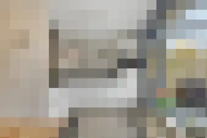 Drapenierlaan 24 Zwolle thumbnail 13
