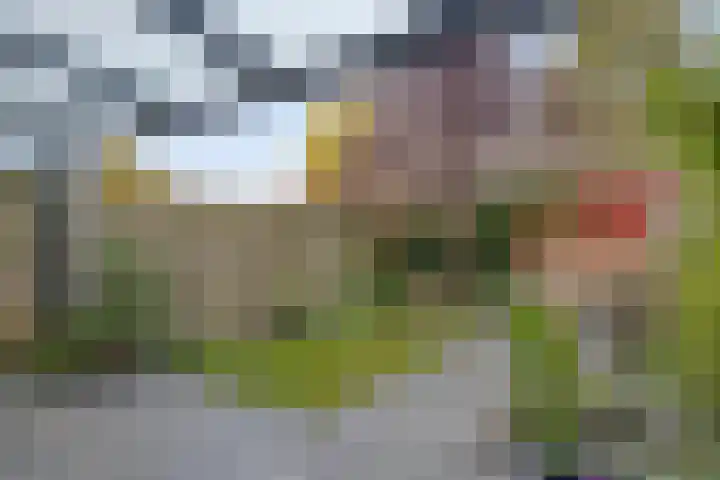 Drapenierlaan 24 Zwolle thumbnail 16