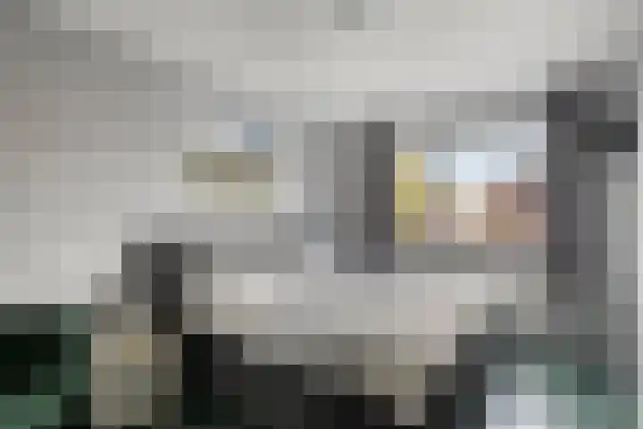 Drapenierlaan 24 Zwolle thumbnail 20