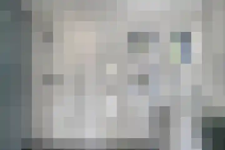 Drapenierlaan 24 Zwolle thumbnail 23