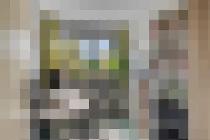 Drapenierlaan 24 Zwolle thumbnail 30