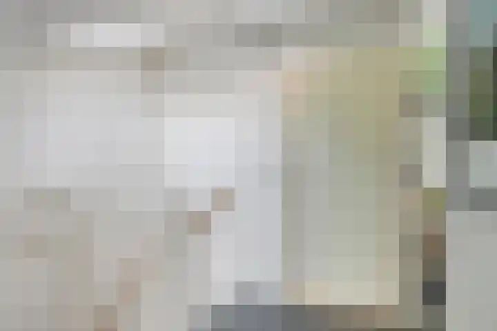 Drapenierlaan 24 Zwolle thumbnail 31
