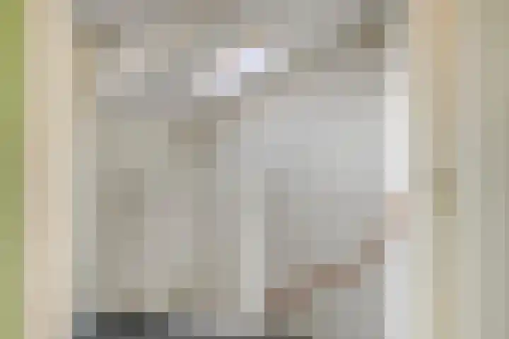 Drapenierlaan 24 Zwolle thumbnail 32