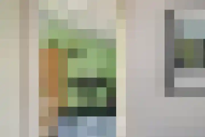 Drapenierlaan 24 Zwolle thumbnail 33