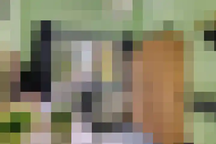 Drapenierlaan 24 Zwolle thumbnail 34