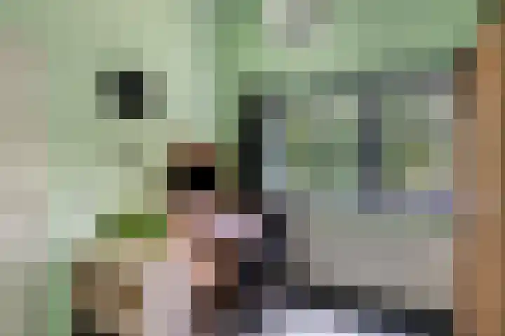 Drapenierlaan 24 Zwolle thumbnail 35