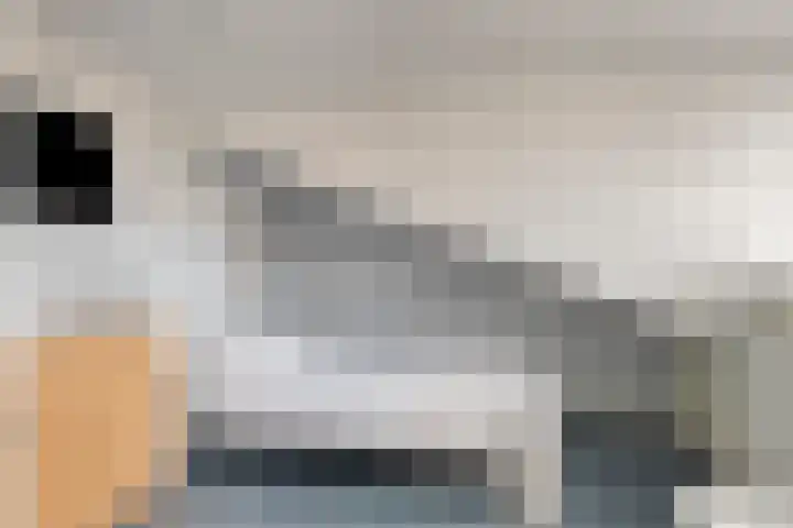 Drapenierlaan 24 Zwolle thumbnail 37