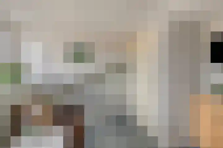 Drapenierlaan 24 Zwolle thumbnail 39