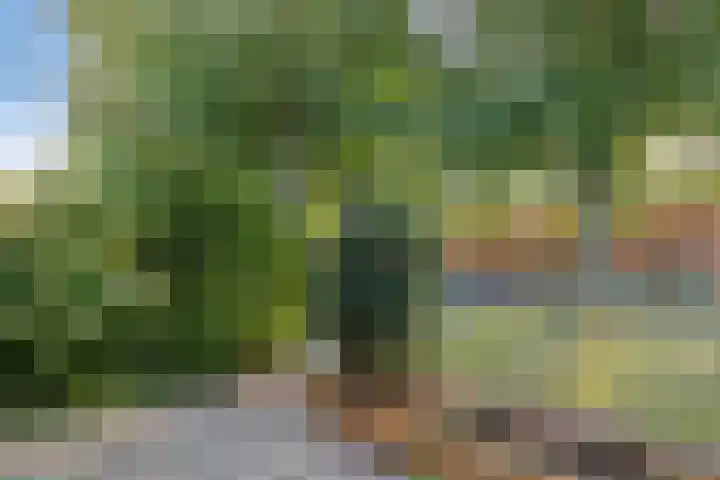 Drapenierlaan 24 Zwolle thumbnail 4