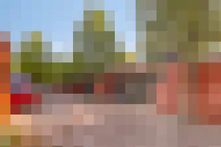Drapenierlaan 24 Zwolle thumbnail 42