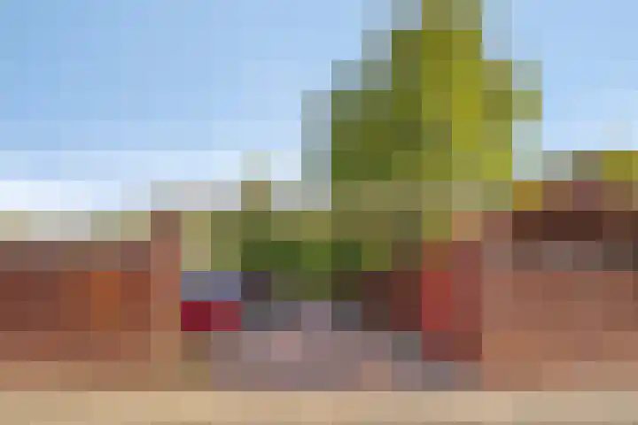 Drapenierlaan 24 Zwolle thumbnail 43