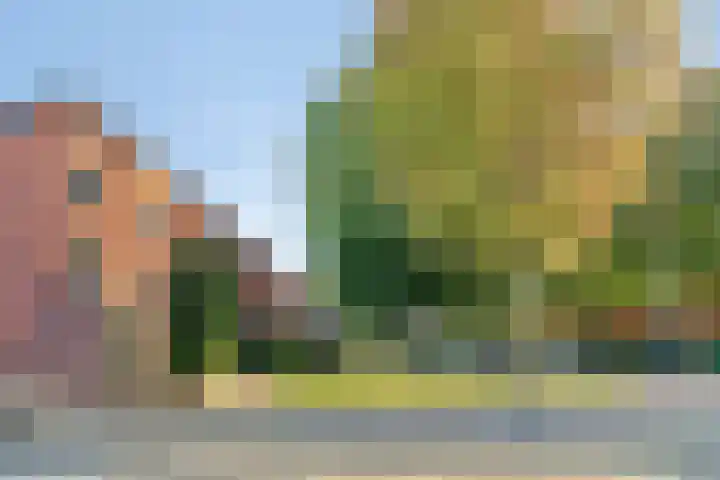 Drapenierlaan 24 Zwolle thumbnail 5