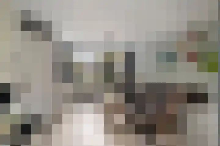 Drapenierlaan 24 Zwolle thumbnail 7