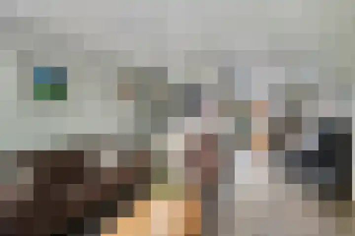 Drapenierlaan 24 Zwolle thumbnail 8