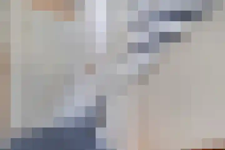 Drapenierlaan 33 Zwolle thumbnail 26