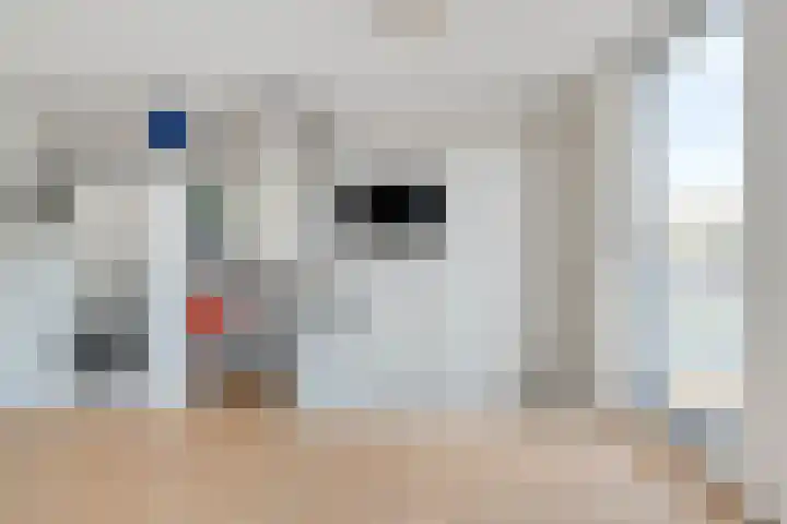 Drapenierlaan 33 Zwolle thumbnail 28