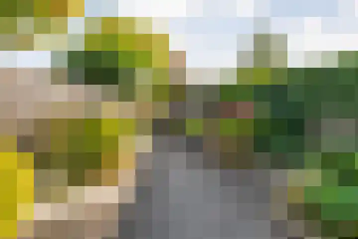 Drapenierlaan 33 Zwolle thumbnail 29